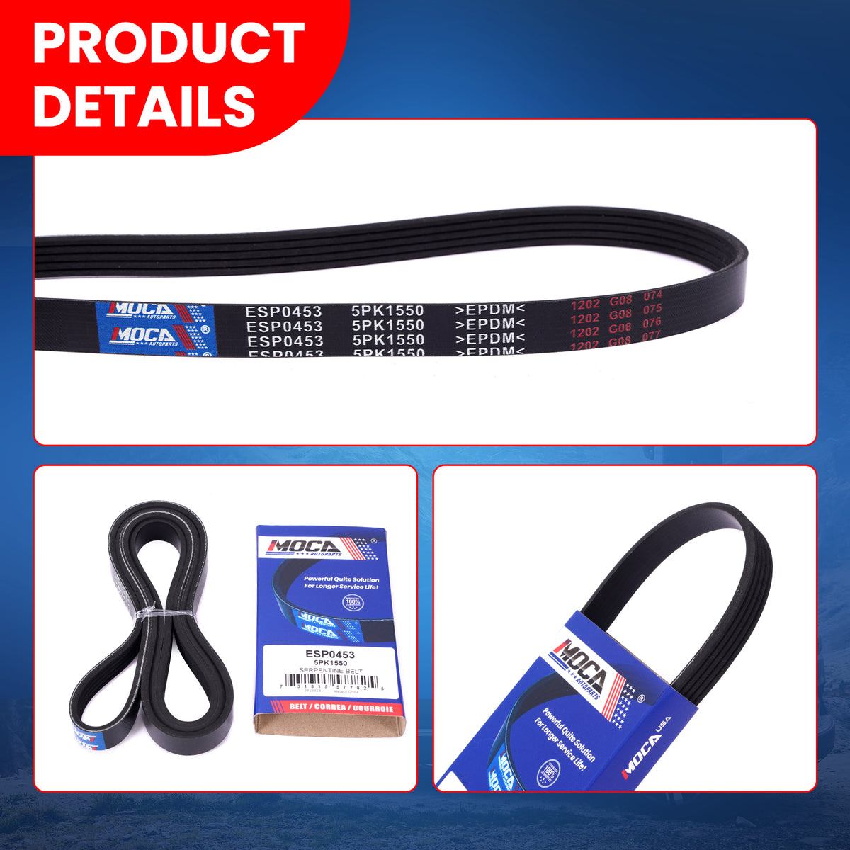 MOCA Serpentine Belt - ESP0453