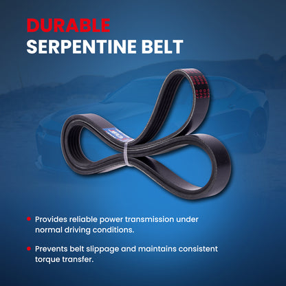 MOCA Serpentine Belt - ESP0454
