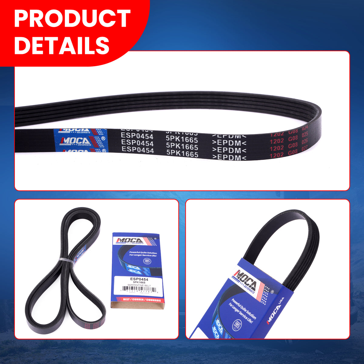 MOCA Serpentine Belt - ESP0454