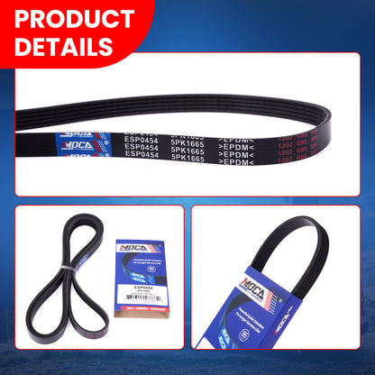 MOCA Serpentine Belt - ESP0454