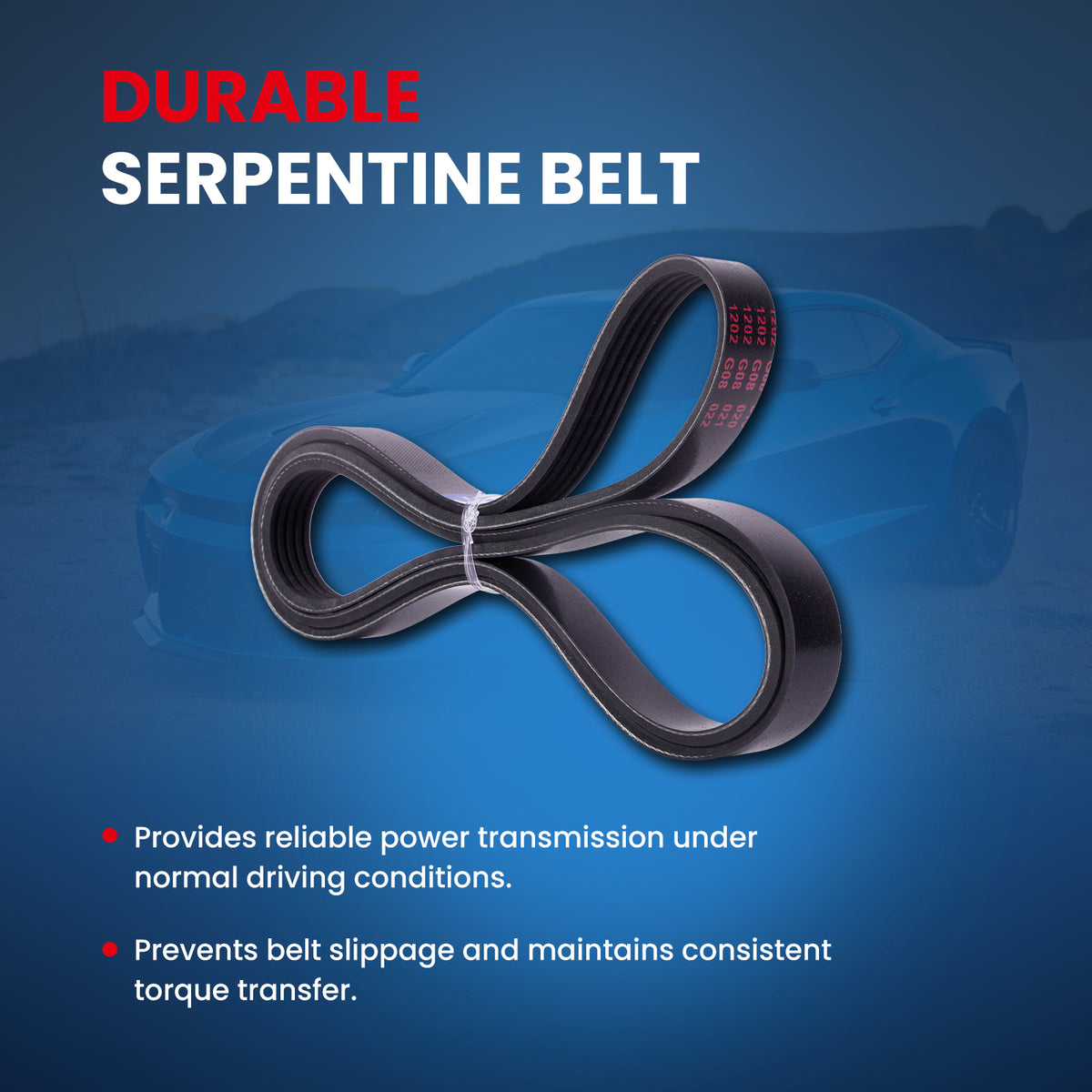 MOCA Serpentine Belt - ESP0455