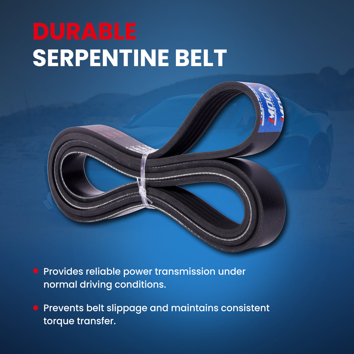MOCA Serpentine Belt - ESP0456