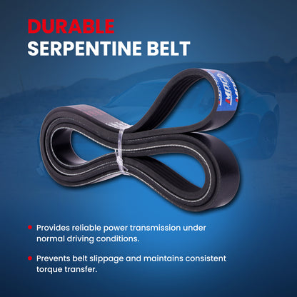 MOCA Serpentine Belt - ESP0456