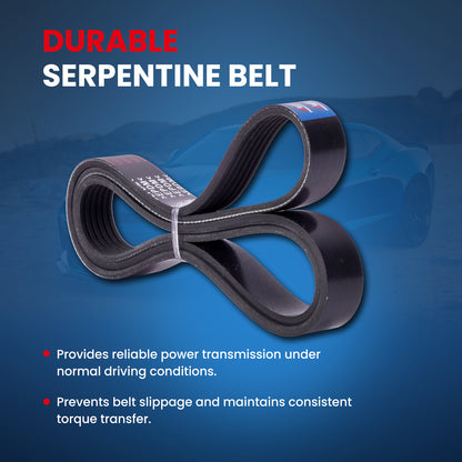 MOCA Serpentine Belt - ESP0459