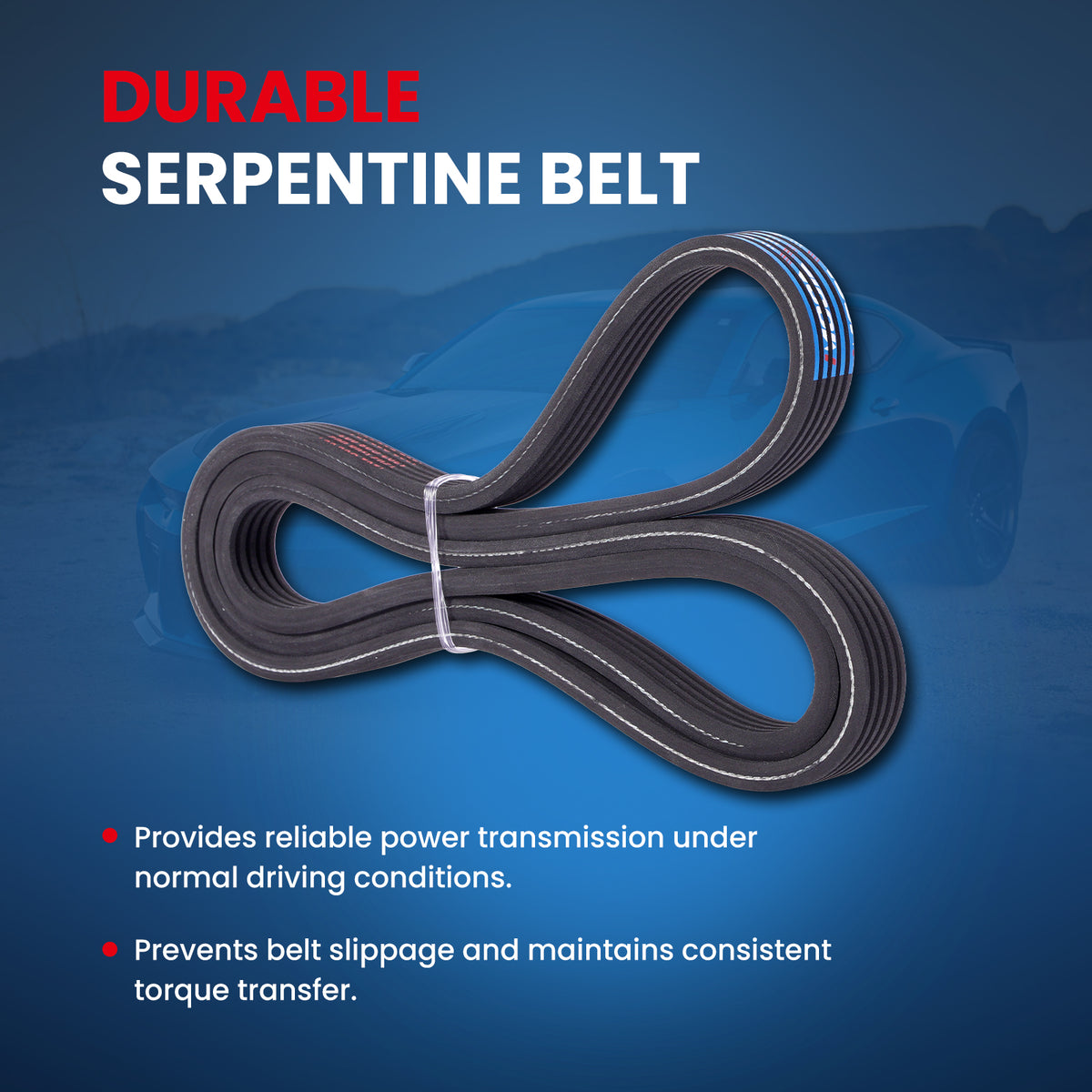 MOCA Serpentine Belt - ESP0460