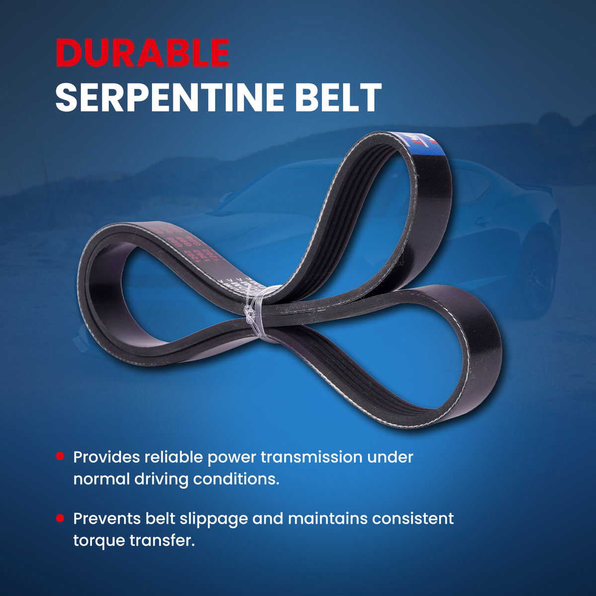 MOCA Serpentine Belt - ESP0461