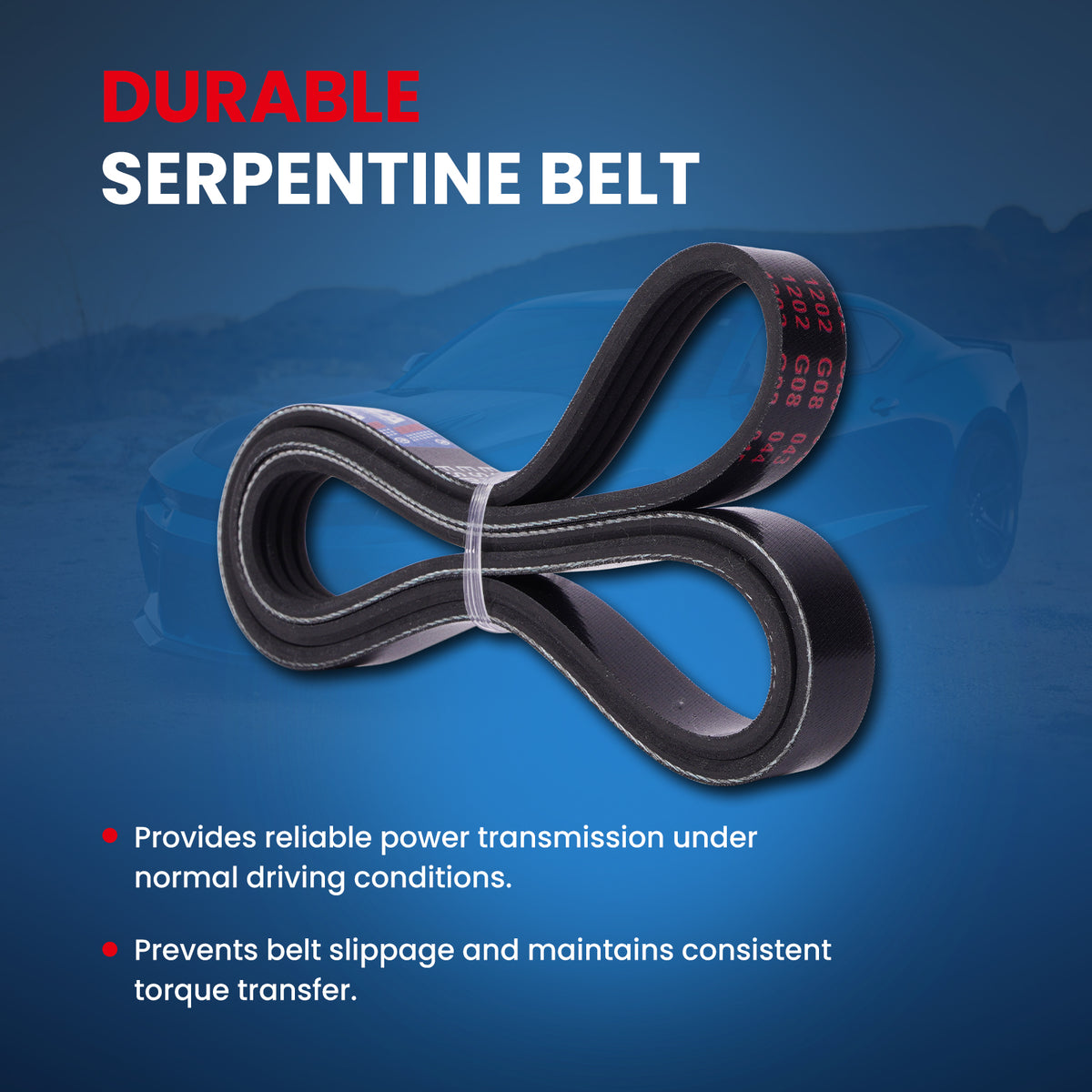MOCA Serpentine Belt - ESP0462