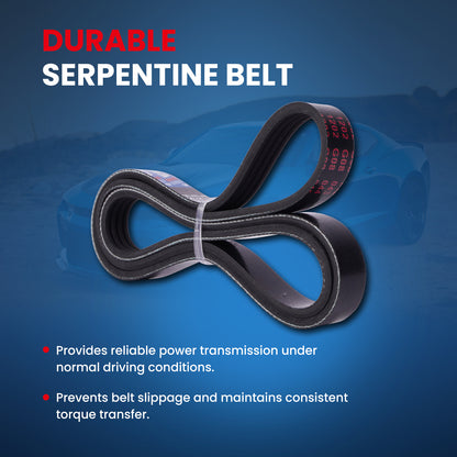 MOCA Serpentine Belt - ESP0462