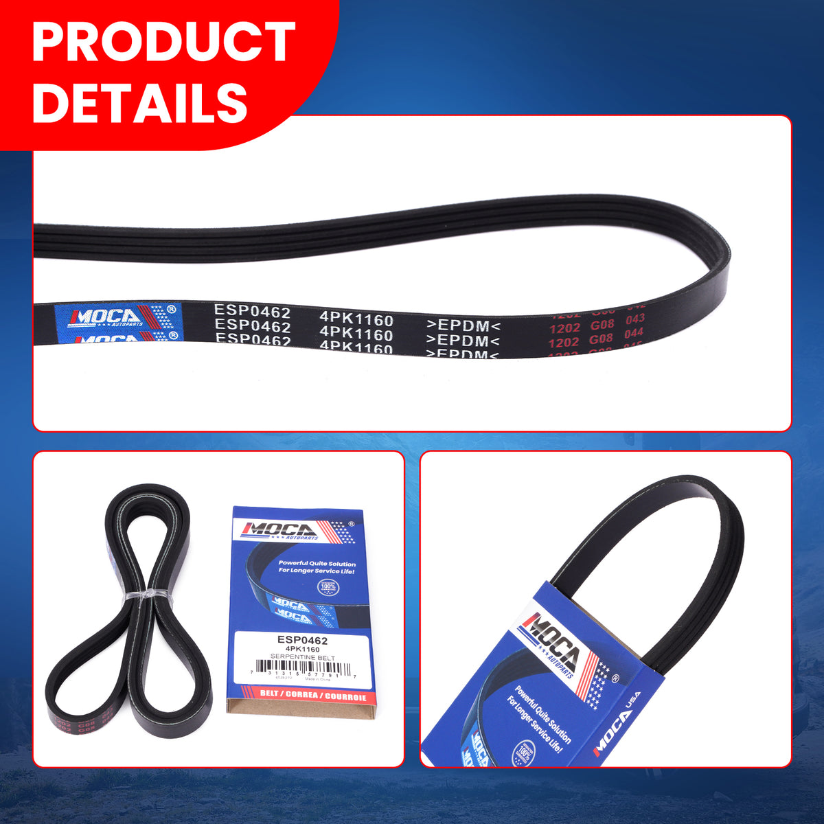 MOCA Serpentine Belt - ESP0462