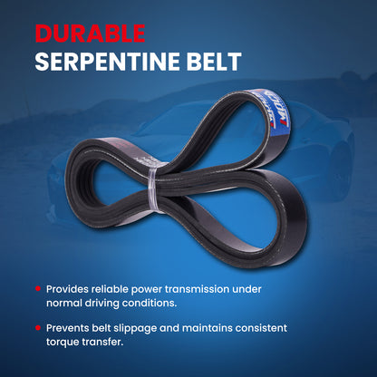 MOCA Serpentine Belt - ESP0463