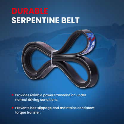 MOCA Serpentine Belt - ESP0464