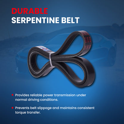 MOCA Serpentine Belt - ESP0465