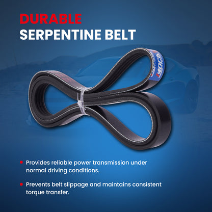 MOCA Serpentine Belt - ESP0467