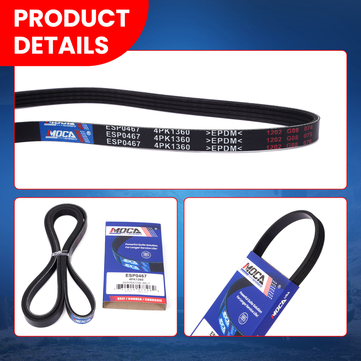 MOCA Serpentine Belt - ESP0467