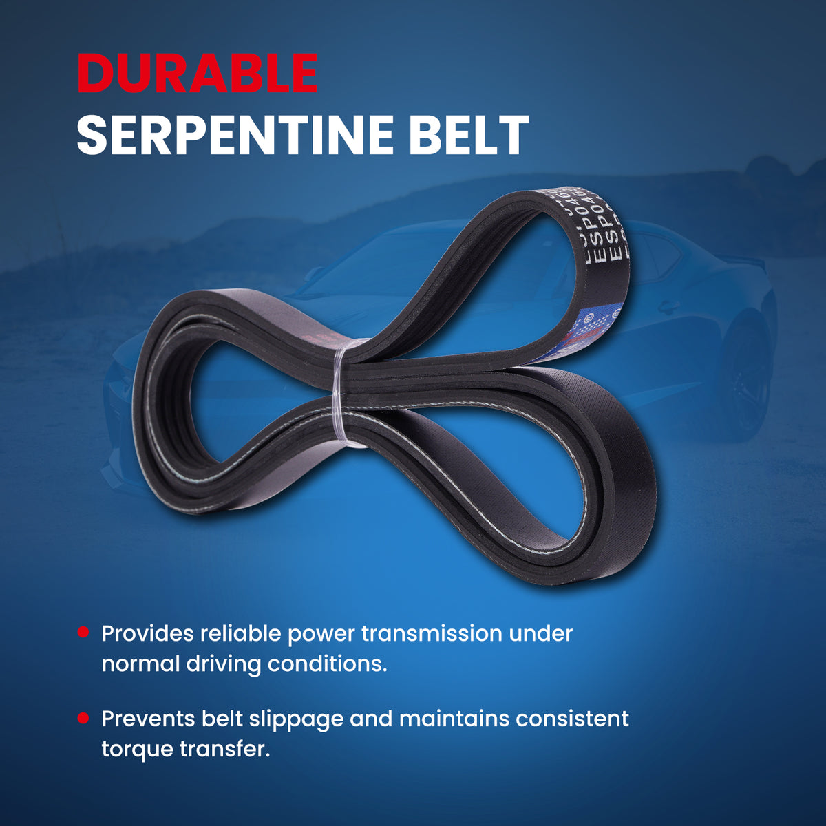 MOCA Serpentine Belt - ESP0469