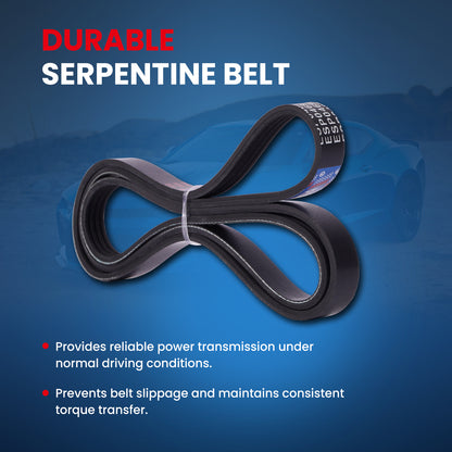 MOCA Serpentine Belt - ESP0469