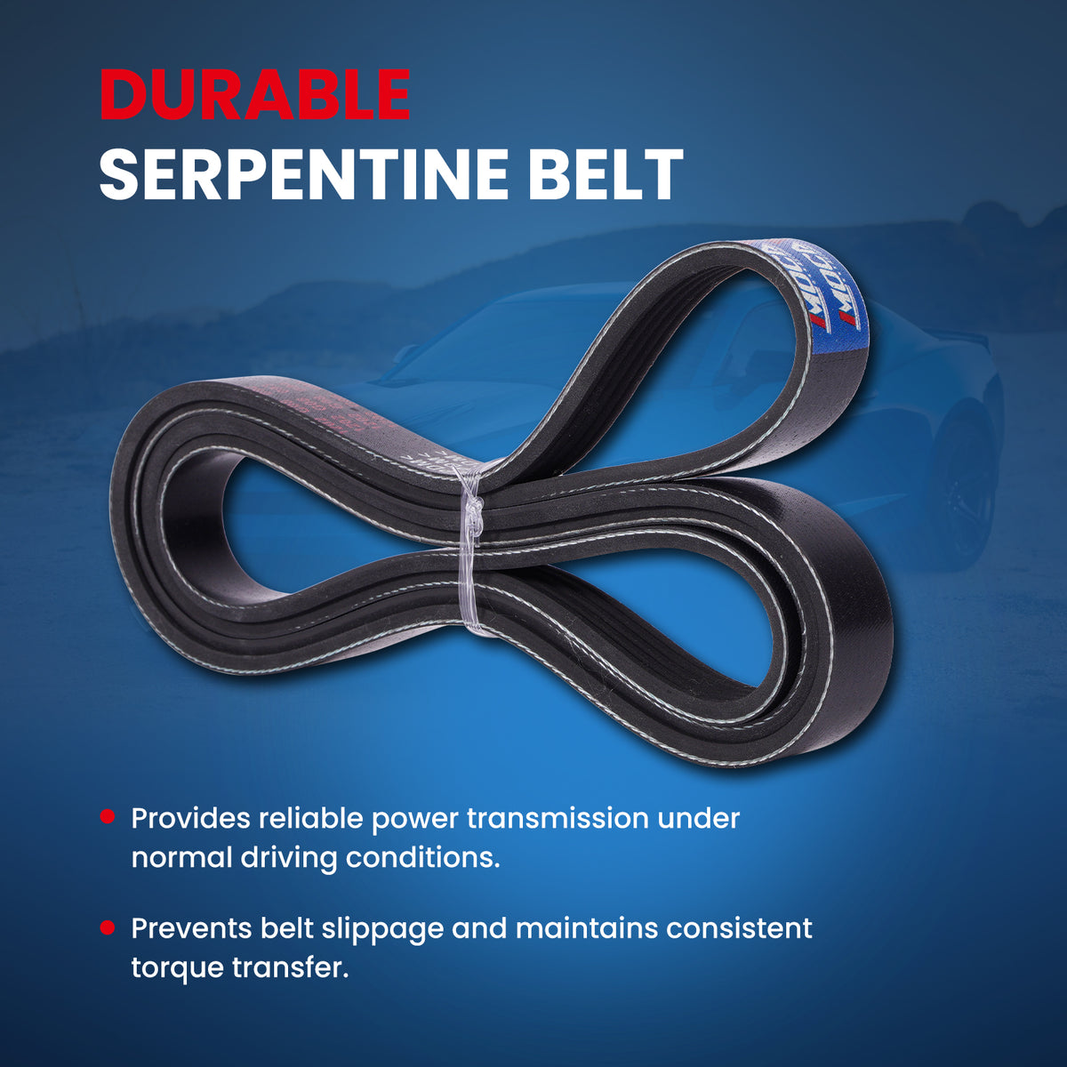 MOCA Serpentine Belt - ESP0470
