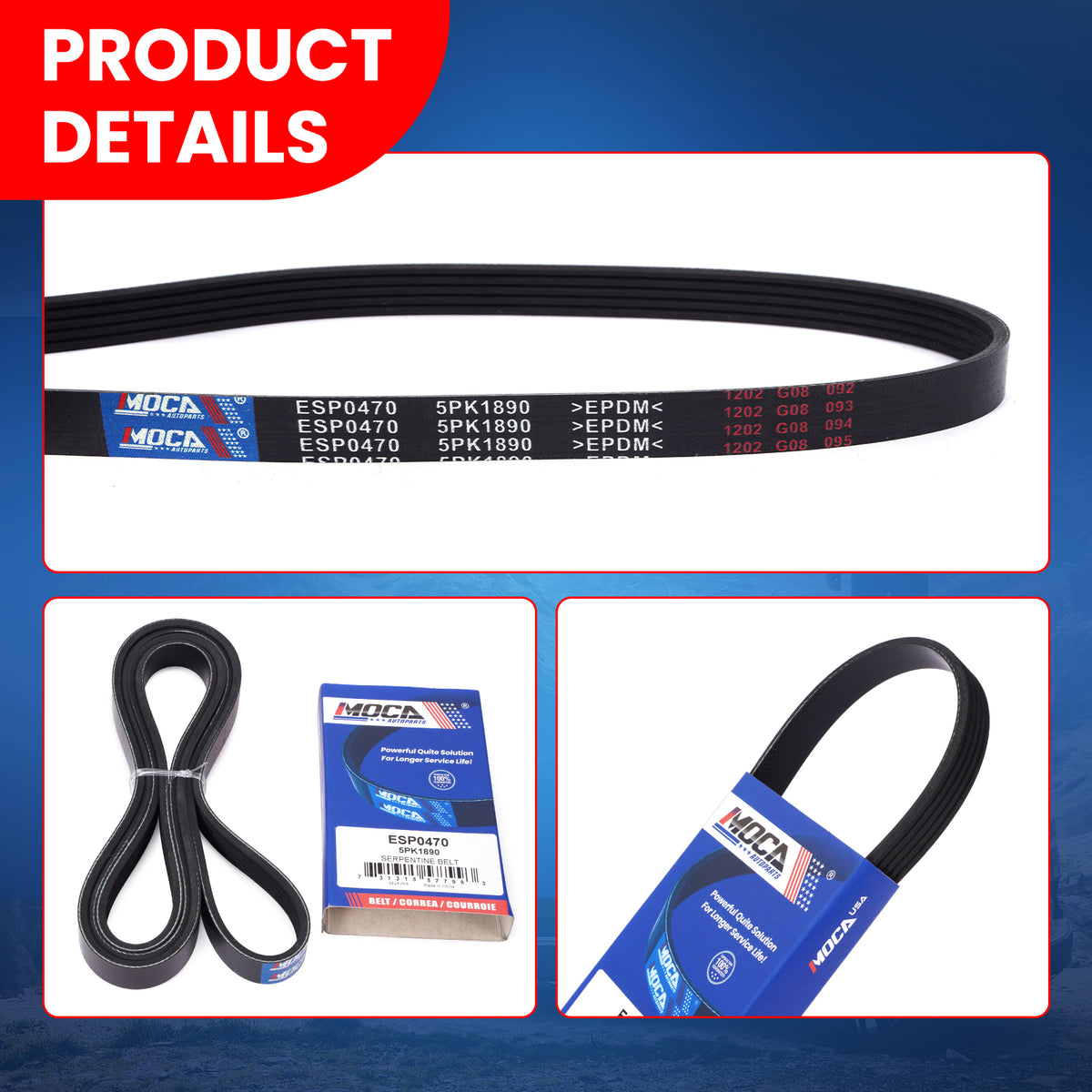 MOCA Serpentine Belt - ESP0470