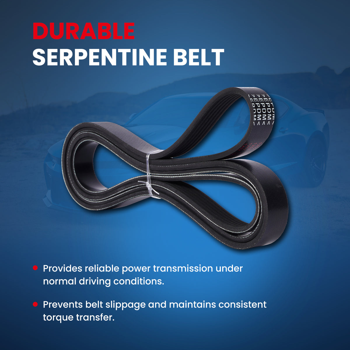 MOCA Serpentine Belt - ESP0472