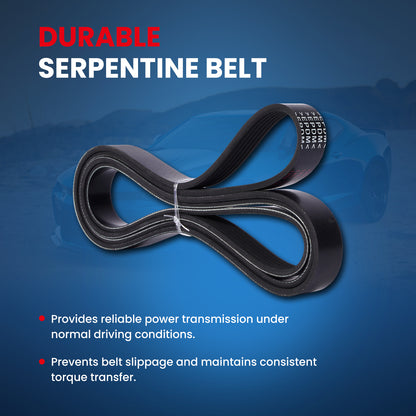 MOCA Serpentine Belt - ESP0472