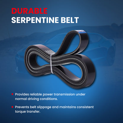 MOCA Serpentine Belt - ESP0474