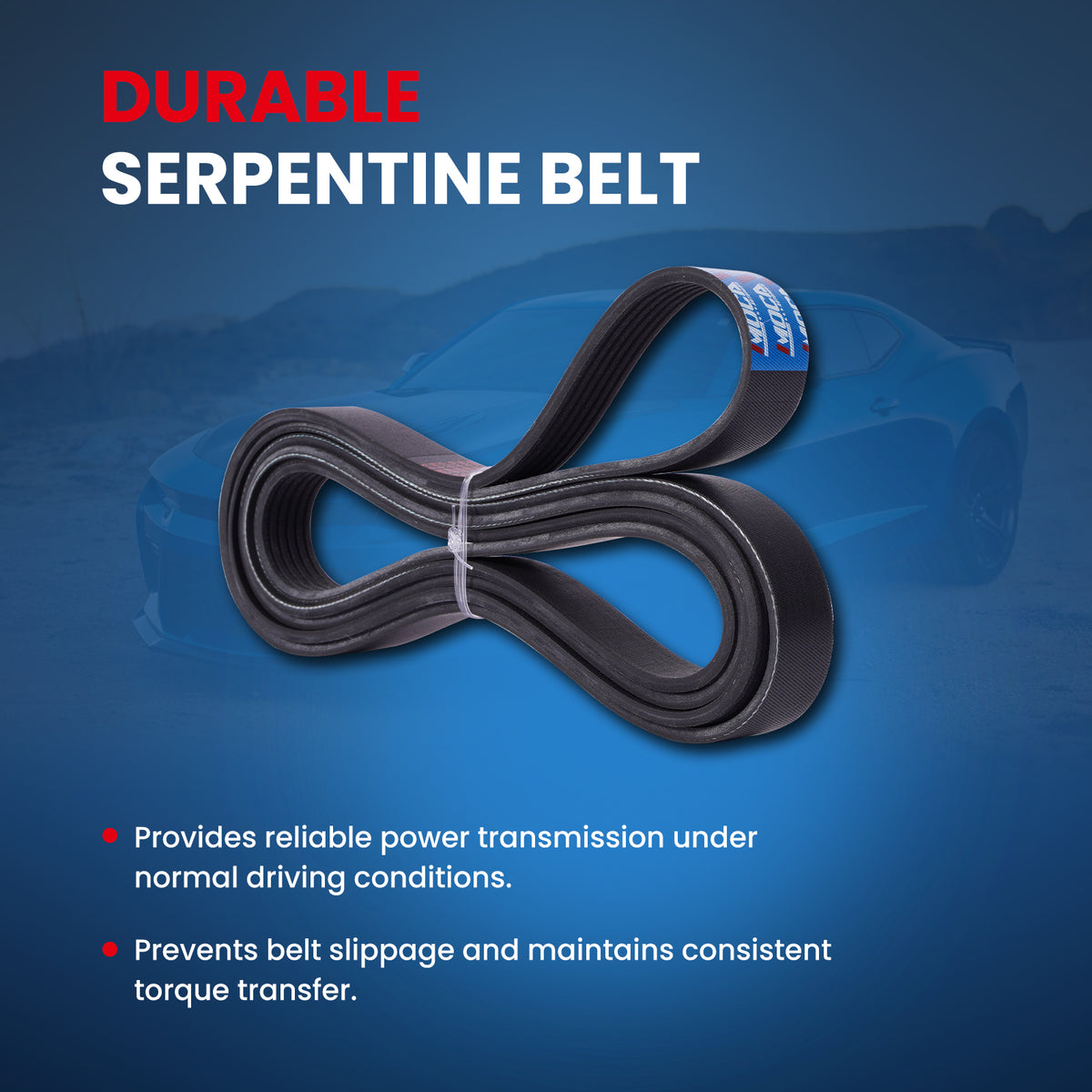 MOCA Serpentine Belt - ESP0475