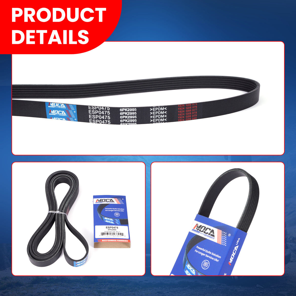 MOCA Serpentine Belt - ESP0475