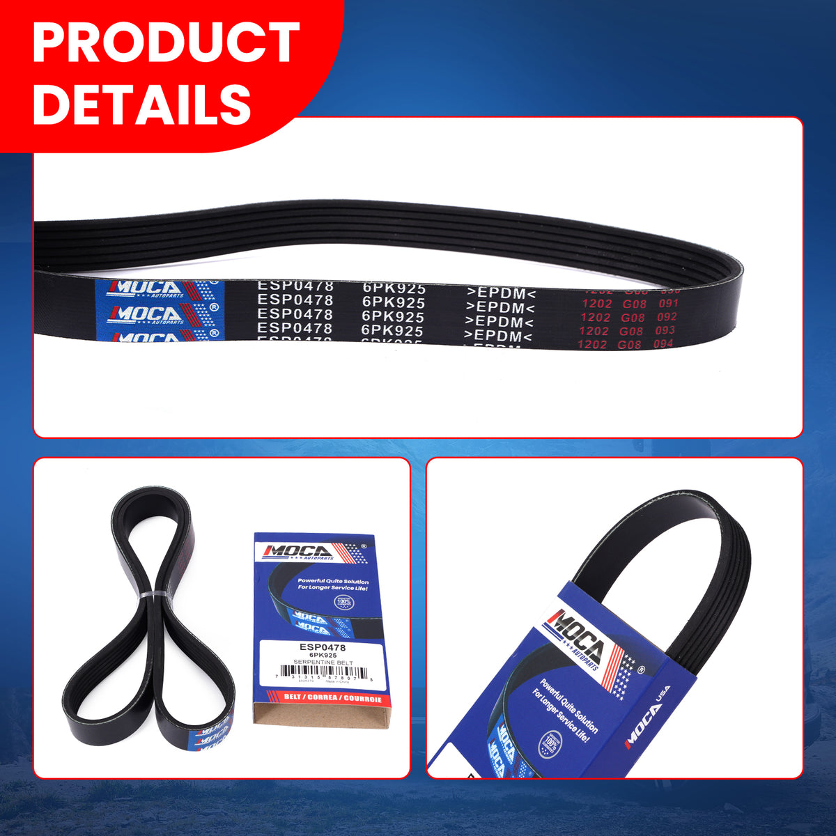 MOCA Serpentine Belt - ESP0478