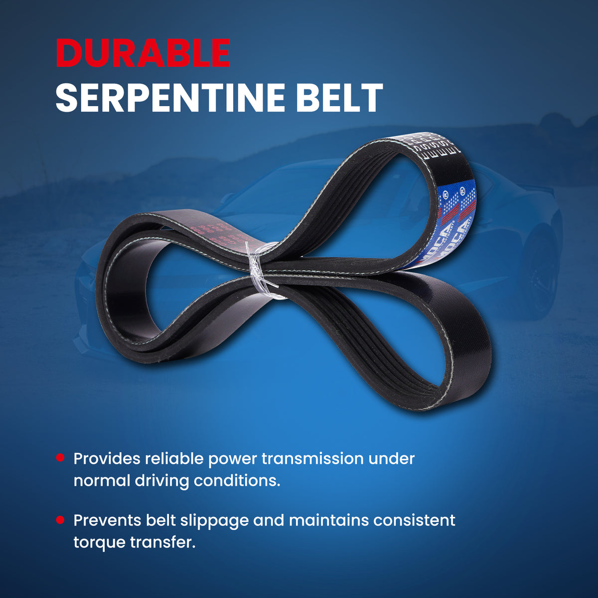 MOCA Serpentine Belt - ESP0479