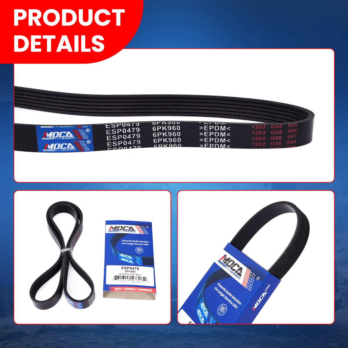 MOCA Serpentine Belt - ESP0479