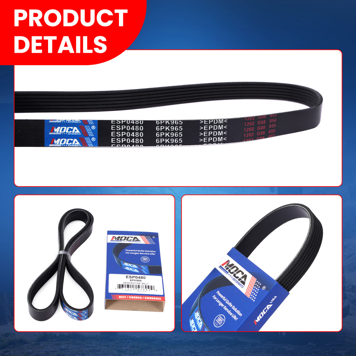 MOCA Serpentine Belt - ESP0480