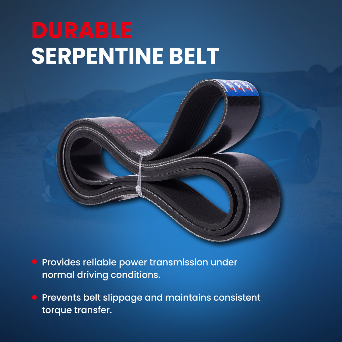 MOCA Serpentine Belt - ESP0481