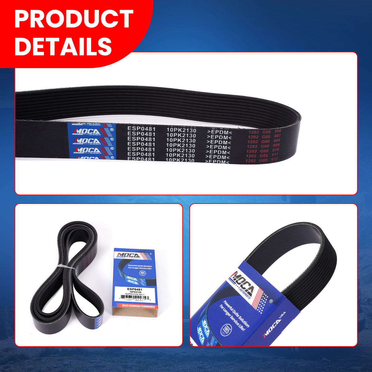 MOCA Serpentine Belt - ESP0481