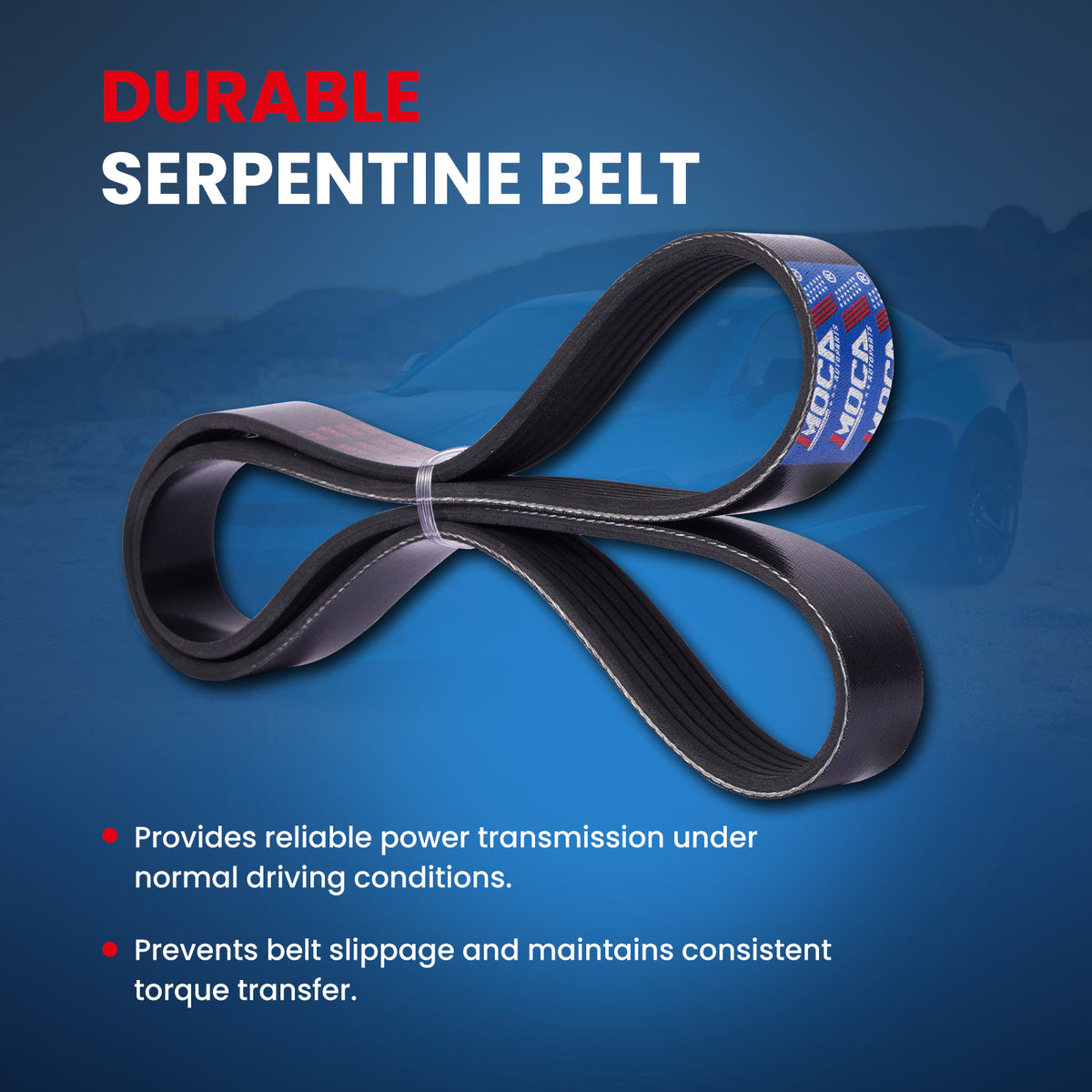MOCA Serpentine Belt - ESP0482