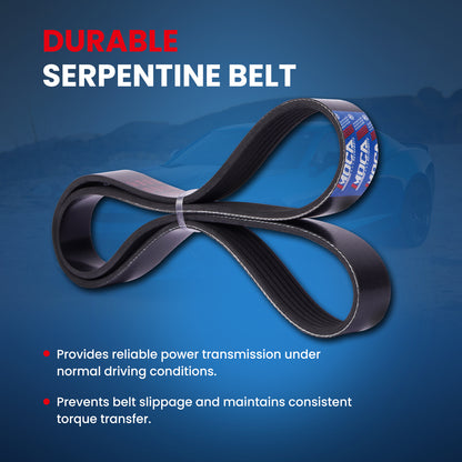 MOCA Serpentine Belt - ESP0482