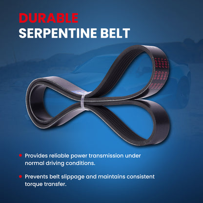MOCA Serpentine Belt - ESP0484