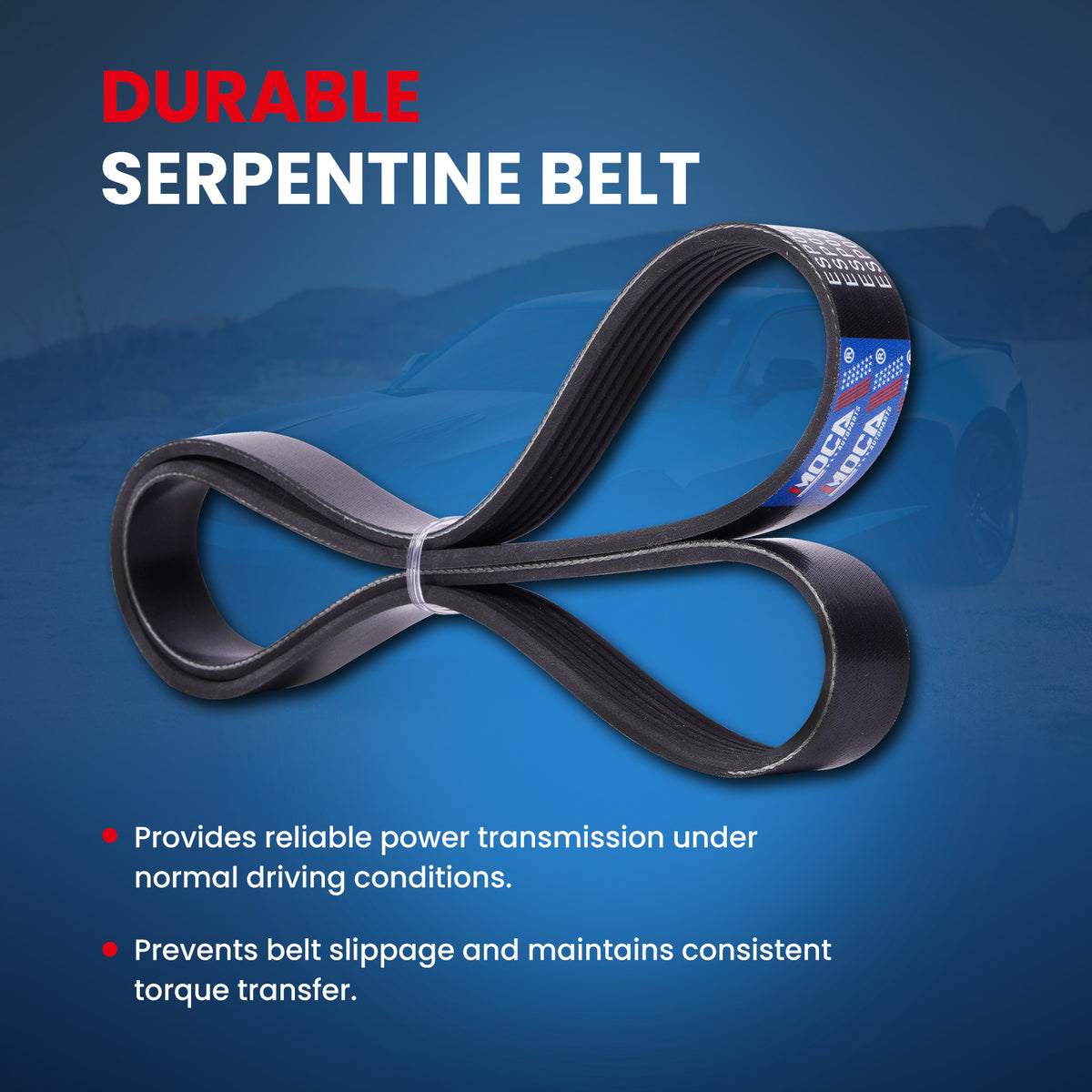 MOCA Serpentine Belt - ESP0485