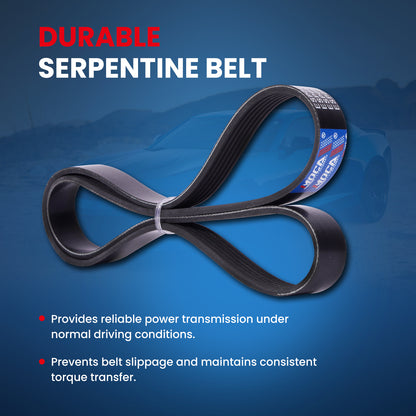MOCA Serpentine Belt - ESP0485