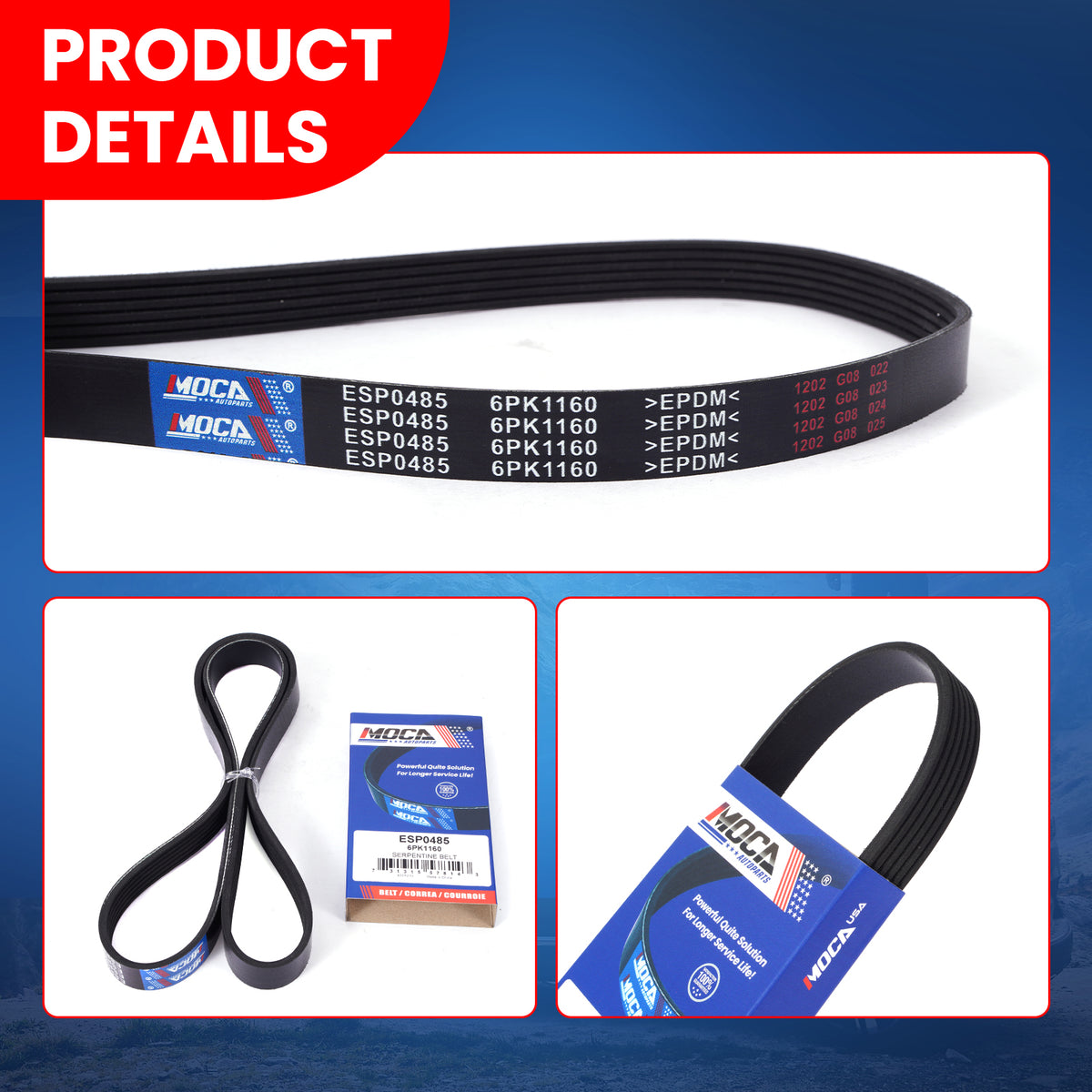 MOCA Serpentine Belt - ESP0485