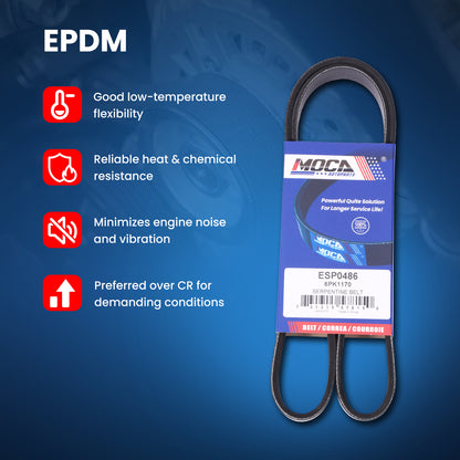 MOCA Serpentine Belt - ESP0486