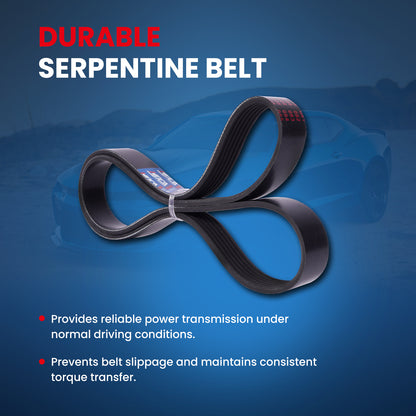 MOCA Serpentine Belt - ESP0486