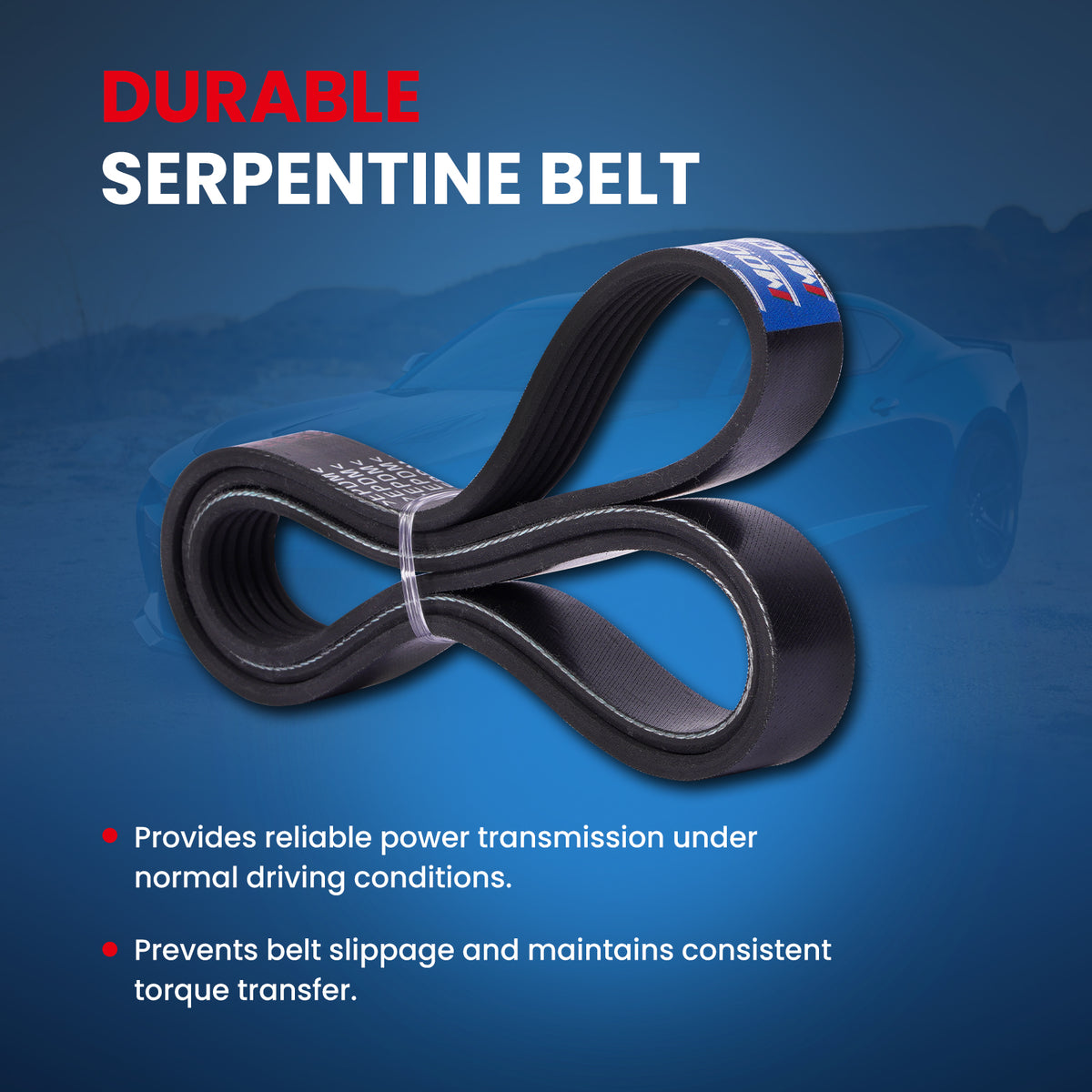 MOCA Serpentine Belt - ESP0487