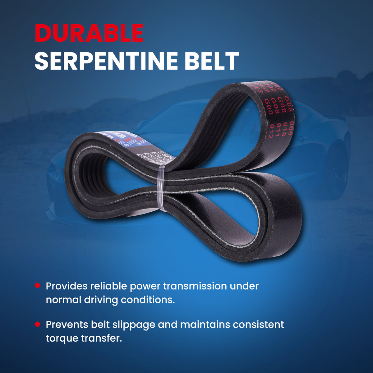 MOCA Serpentine Belt - ESP0488