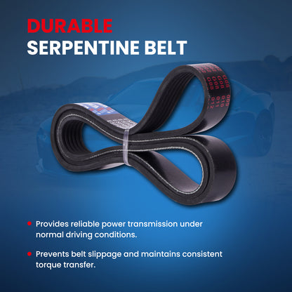 MOCA Serpentine Belt - ESP0488