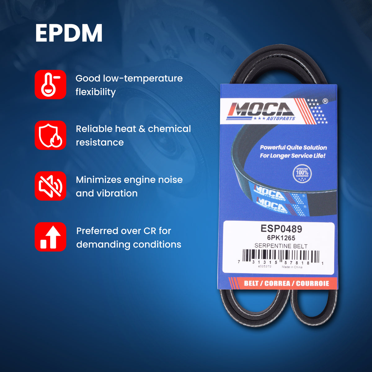 MOCA Serpentine Belt - ESP0489
