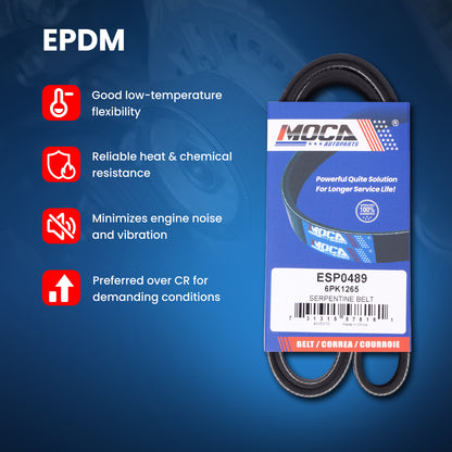 MOCA Serpentine Belt - ESP0489