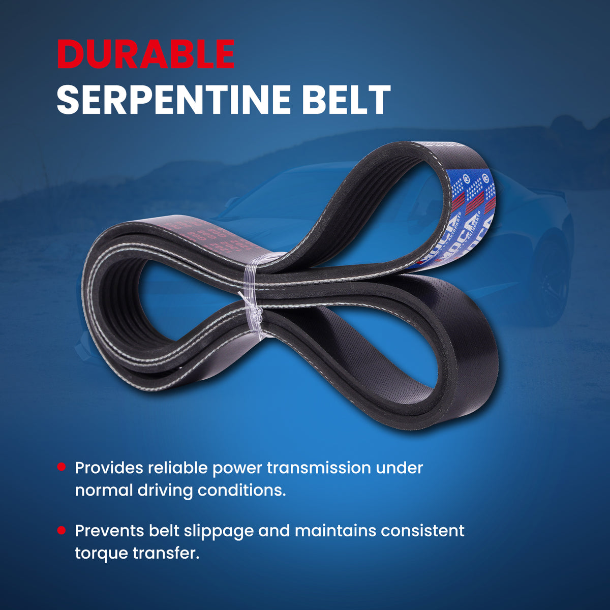 MOCA Serpentine Belt - ESP0489