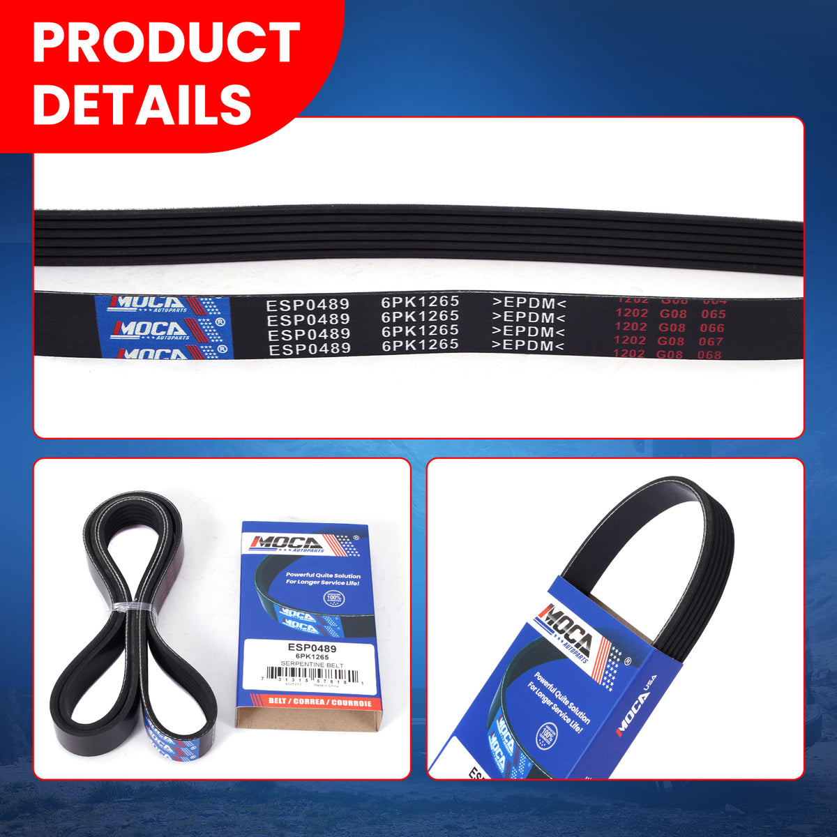 MOCA Serpentine Belt - ESP0489