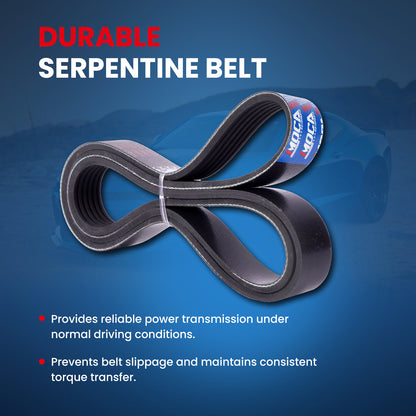 MOCA Serpentine Belt - ESP0491