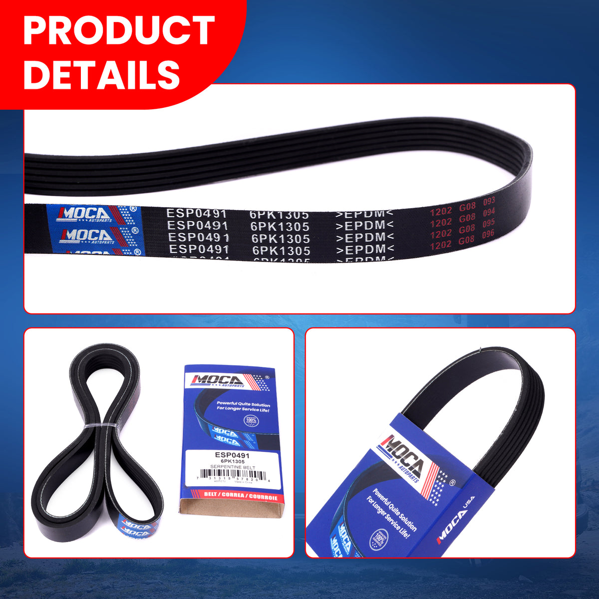 MOCA Serpentine Belt - ESP0491